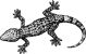 snarkout.com